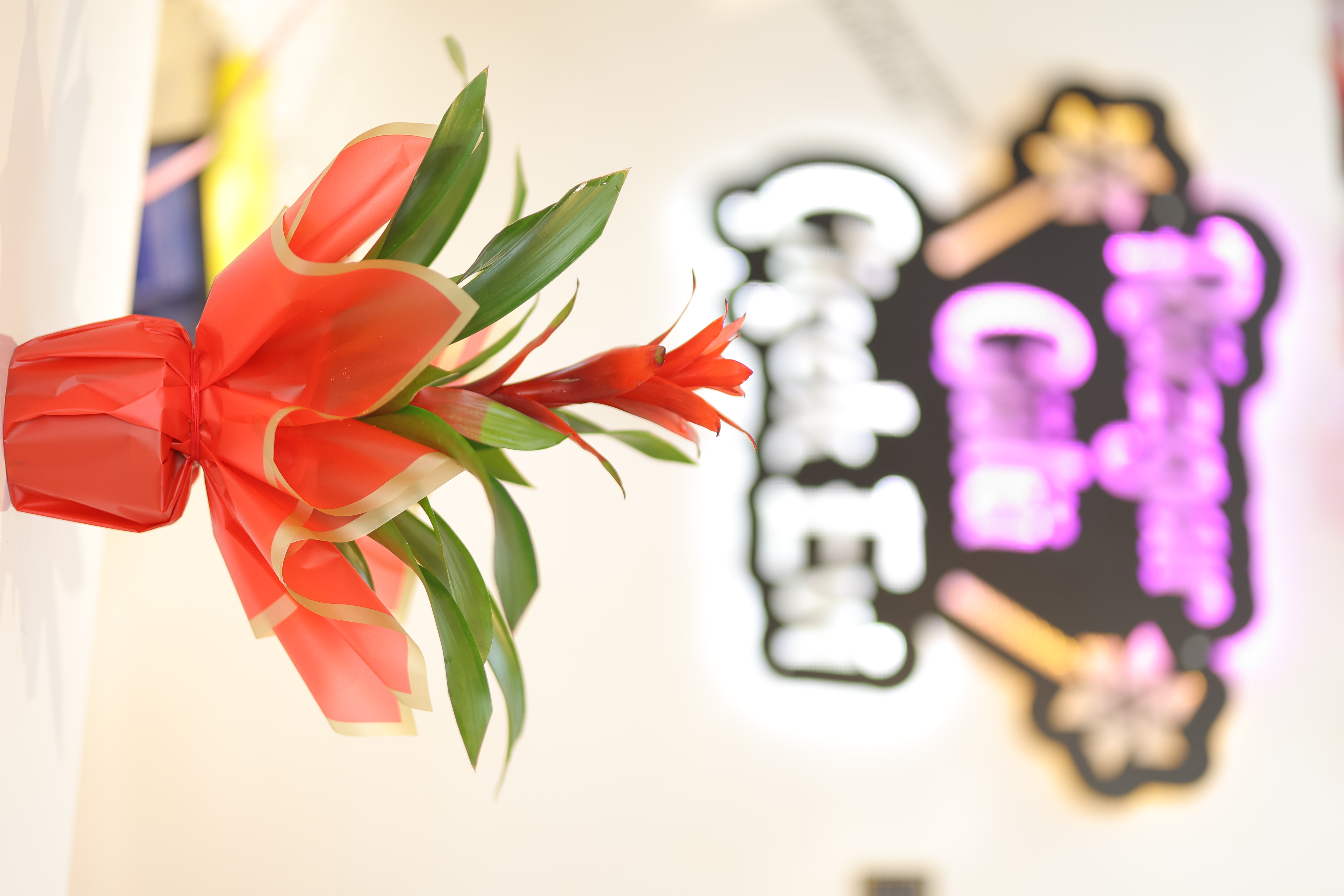 guzmanya-cicegi-turuncu-35x50-cm