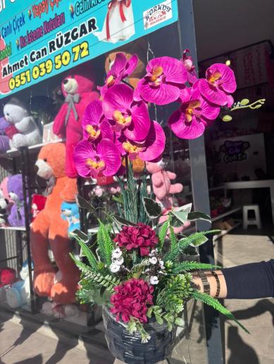 yapay-orkide-arajmani