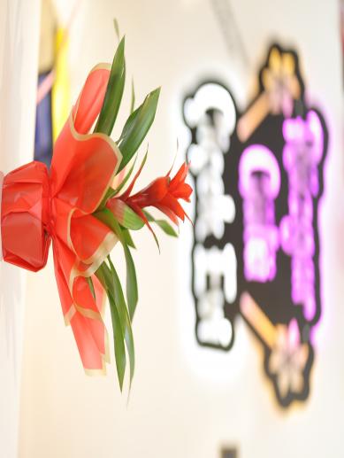 guzmanya-cicegi-turuncu-35x50-cm